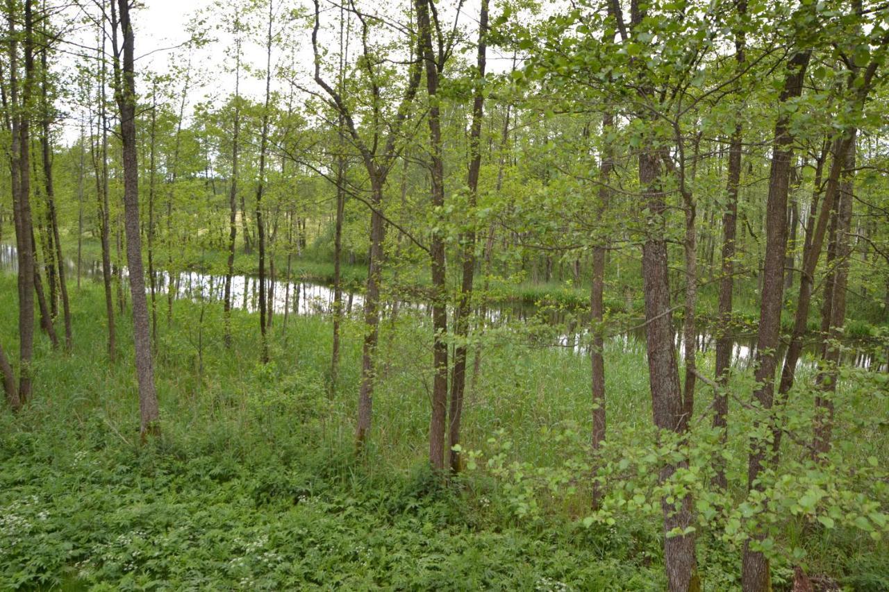 Osrodek Wypoczynkowo-Turystyczny Perla Krutyni Hotel Nowy Most Eksteriør billede